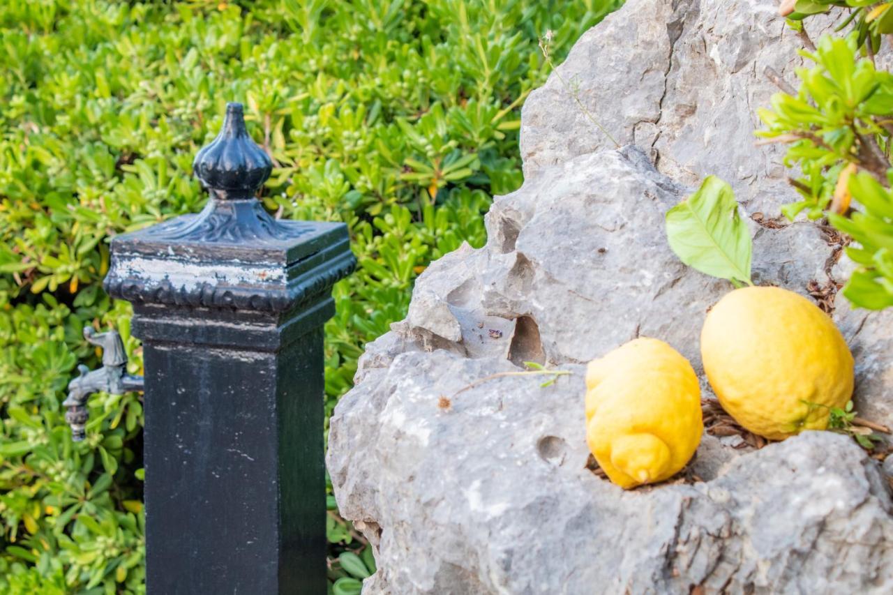 Villino Agave Villa San Vito Lo Capo Bagian luar foto