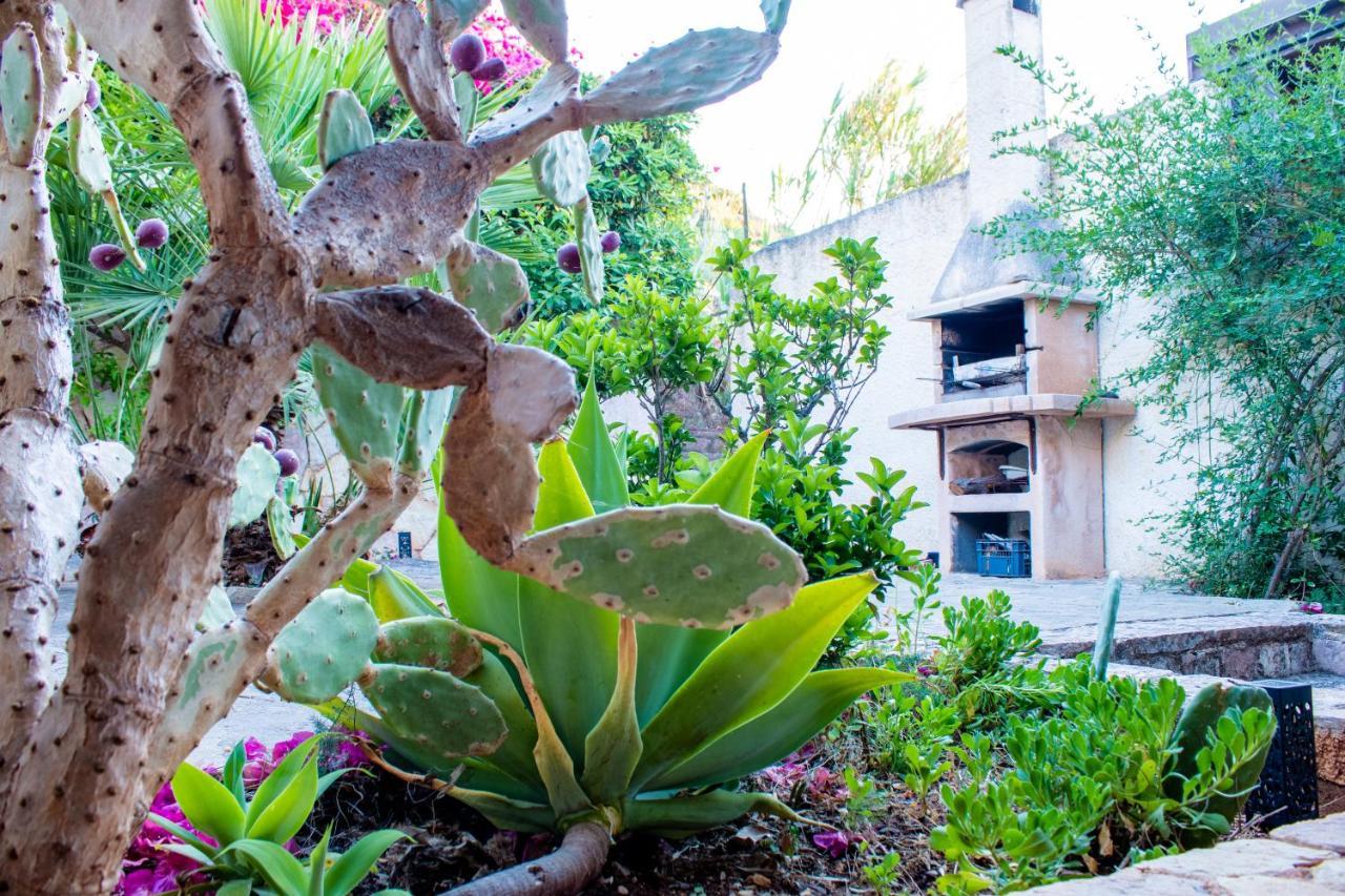 Villino Agave Villa San Vito Lo Capo Bagian luar foto